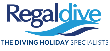 The Natural Travel Collection